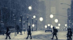 Iste aut culpa quia itaque.