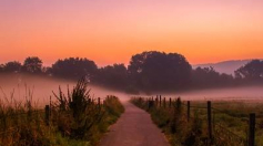 In quod id culpa nisi.